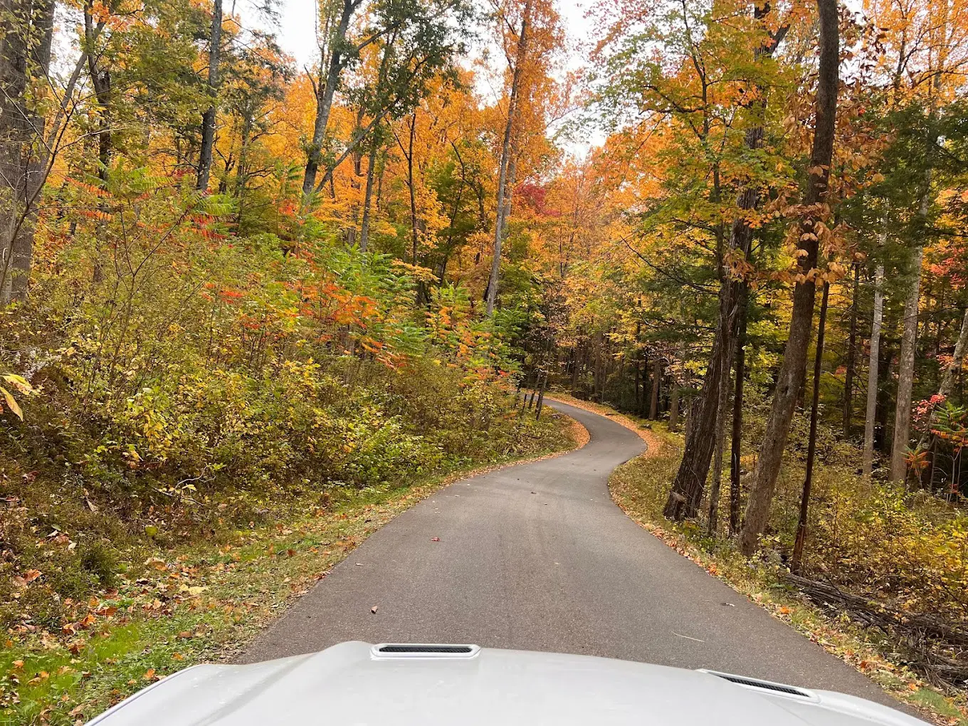 Roaring Fork Motor Nature Trail